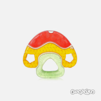 دندانگير قارچ کيدزمی